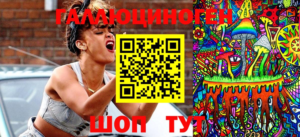 Волгодонск  сколько стоит  Вход с VPN  Псилоцибиновые грибы Psilocybe 