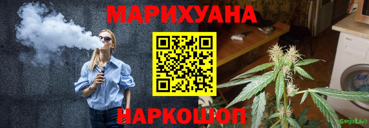 Конопля конопля  МАРИХУАНА гибрид  Конопля AK-47  Волгодонск  Вход с VPN 